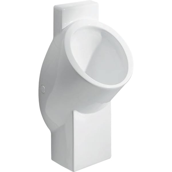 GE Centaurus Urinal wasserlos Abgang nach hinten oder unten, weiß Tect