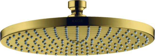 HG Tellerkopfbrause Axor 240 mm PGO mit Air-Injection