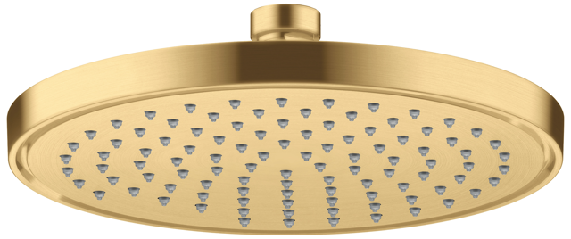 HG Kopfbrause 220 1jet EcoSmart Axor BGO