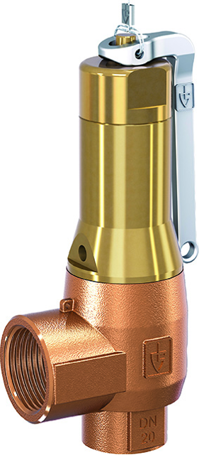 PNEUMATEX Sicherheitsventil DSV